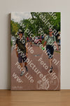 Evenement foto: Nijmeegse Vierdaagse 1168