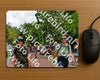 Evenement foto: Nijmeegse Vierdaagse 1168