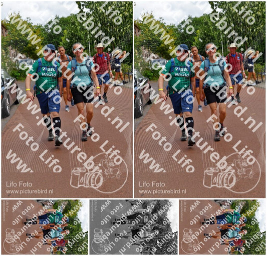 Evenement foto: Nijmeegse Vierdaagse 1168