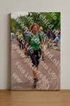 Evenement foto: Nijmeegse Vierdaagse 1168