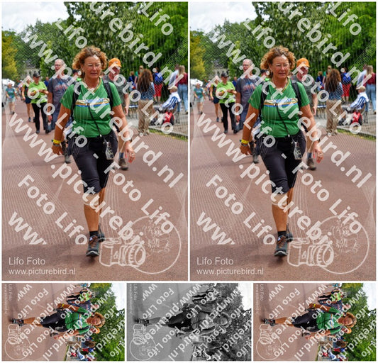 Evenement foto: Nijmeegse Vierdaagse 1168