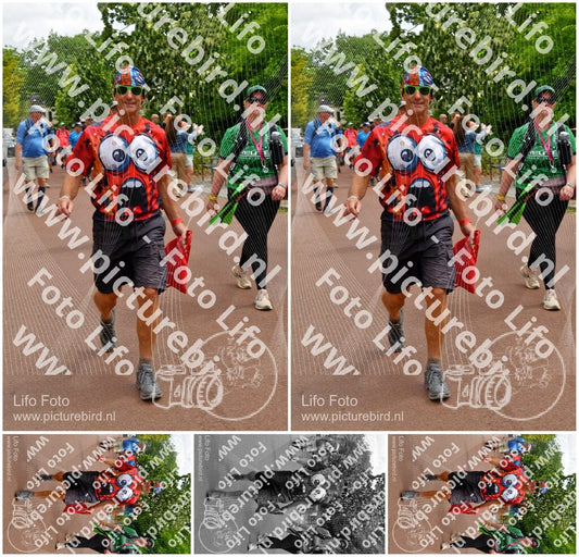 Evenement foto: Nijmeegse Vierdaagse 1168