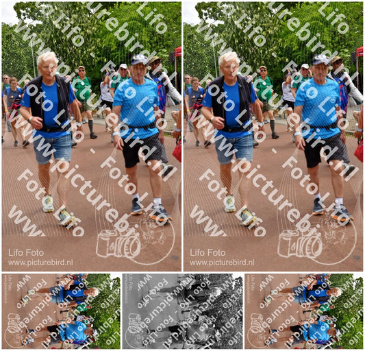 Evenement foto: Nijmeegse Vierdaagse 1168