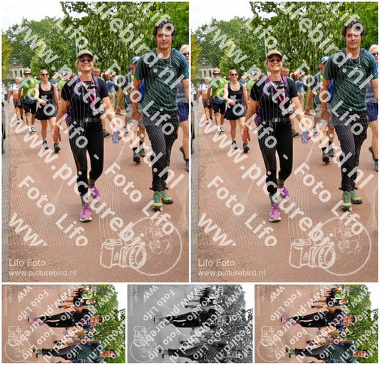 Evenement foto: Nijmeegse Vierdaagse 1168