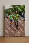 Evenement foto: Nijmeegse Vierdaagse 1168