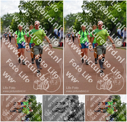 Evenement foto: Nijmeegse Vierdaagse 1168