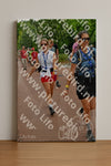 Evenement foto: Nijmeegse Vierdaagse 1168
