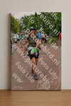 Evenement foto: Nijmeegse Vierdaagse 1168