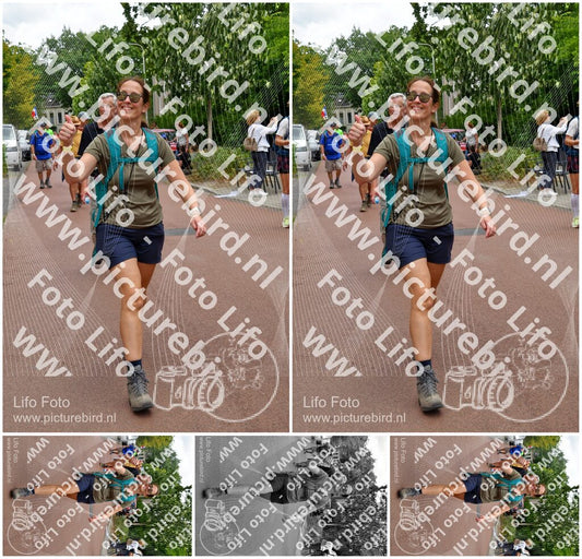 Evenement foto: Nijmeegse Vierdaagse 1168