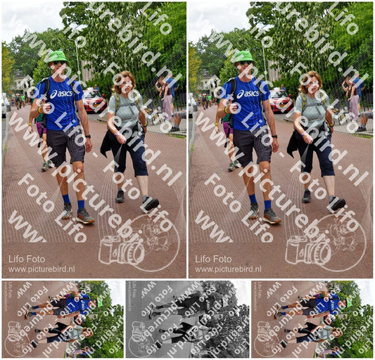 Evenement foto: Nijmeegse Vierdaagse 1167