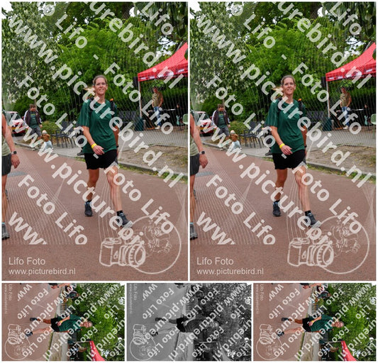 Evenement foto: Nijmeegse Vierdaagse 1167