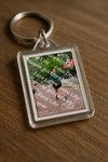 Evenement foto: Nijmeegse Vierdaagse 1167