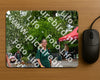 Evenement foto: Nijmeegse Vierdaagse 1167