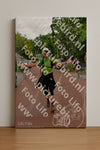 Evenement foto: Nijmeegse Vierdaagse 1167