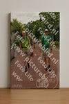 Evenement foto: Nijmeegse Vierdaagse 1167