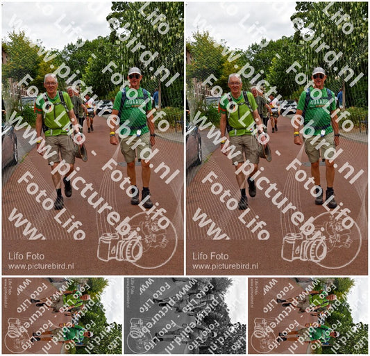 Evenement foto: Nijmeegse Vierdaagse 1167