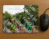 Evenement foto: Nijmeegse Vierdaagse 1167