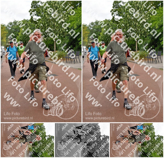Evenement foto: Nijmeegse Vierdaagse 1167