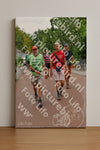 Evenement foto: Nijmeegse Vierdaagse 1167