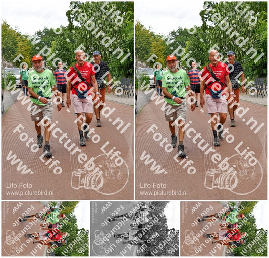 Evenement foto: Nijmeegse Vierdaagse 1167