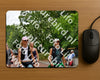 Evenement foto: Nijmeegse Vierdaagse 1167