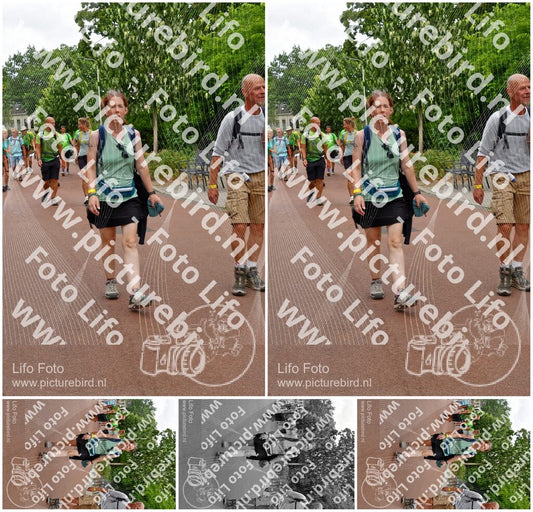 Evenement foto: Nijmeegse Vierdaagse 1167
