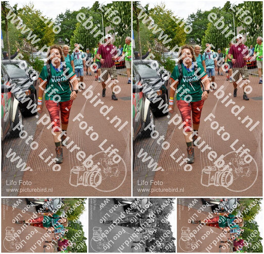 Evenement foto: Nijmeegse Vierdaagse 1167