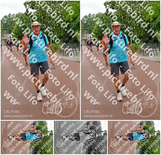 Evenement foto: Nijmeegse Vierdaagse 1167