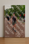 Evenement foto: Nijmeegse Vierdaagse 1167