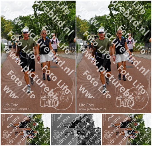 Evenement foto: Nijmeegse Vierdaagse 1167