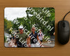 Evenement foto: Nijmeegse Vierdaagse 1167