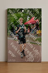 Evenement foto: Nijmeegse Vierdaagse 1167