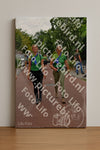 Evenement foto: Nijmeegse Vierdaagse 1167