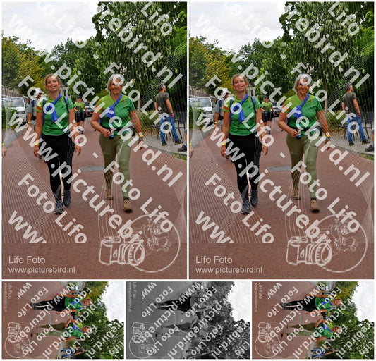 Evenement foto: Nijmeegse Vierdaagse 1167