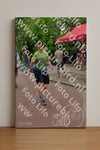 Evenement foto: Nijmeegse Vierdaagse 1167