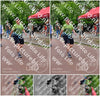 Evenement foto: Nijmeegse Vierdaagse 1167