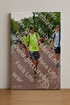 Evenement foto: Nijmeegse Vierdaagse 1167