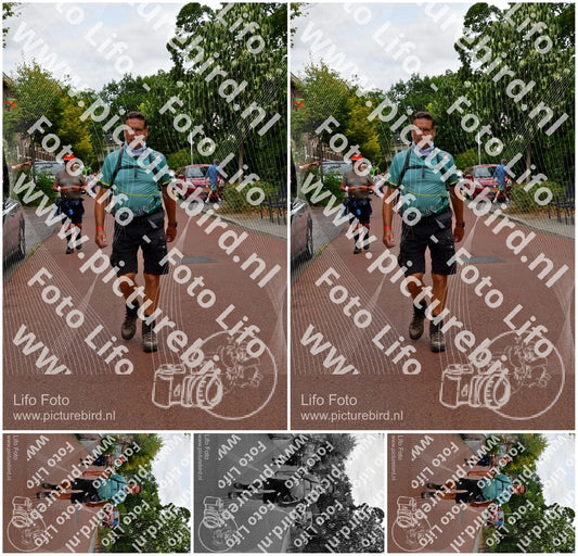 Evenement foto: Nijmeegse Vierdaagse 1167