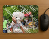 Evenement foto: Nijmeegse Vierdaagse 1167