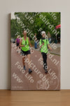 Evenement foto: Nijmeegse Vierdaagse 1167