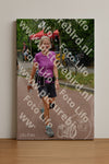 Evenement foto: Nijmeegse Vierdaagse 1167