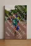 Evenement foto: Nijmeegse Vierdaagse 1167