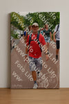 Evenement foto: Nijmeegse Vierdaagse 1167
