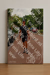 Evenement foto: Nijmeegse Vierdaagse 1167