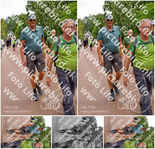 Evenement foto: Nijmeegse Vierdaagse 1167