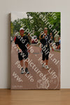 Evenement foto: Nijmeegse Vierdaagse 1167