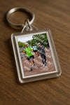 Evenement foto: Nijmeegse Vierdaagse 1167