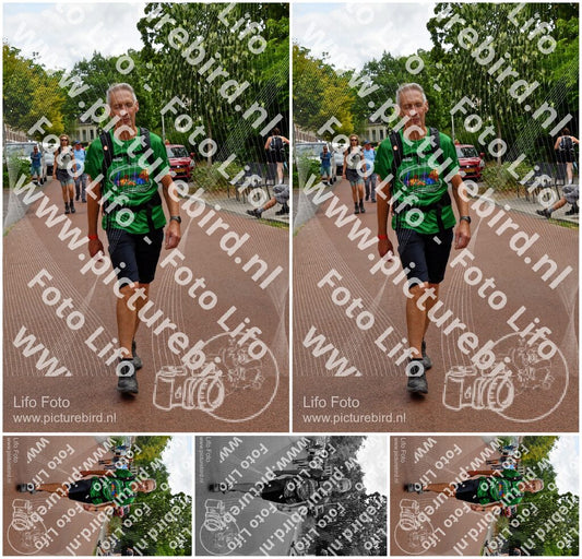 Evenement foto: Nijmeegse Vierdaagse 1167