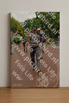 Evenement foto: Nijmeegse Vierdaagse 1167