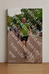 Evenement foto: Nijmeegse Vierdaagse 1167